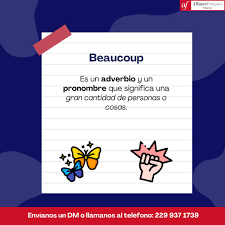 Beaucoup Meaning : Quand et comment l’utiliser