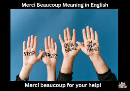 Beaucoup Meaning : Comprendre ce mot français facilement et naturellement