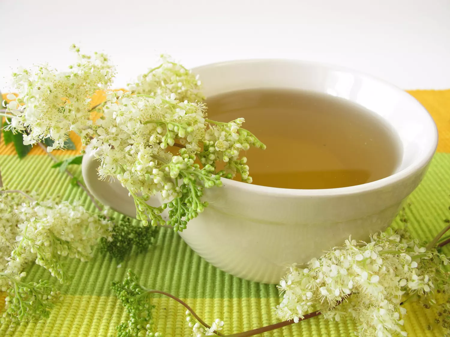Reine des Prés : Bienfaits, Santé et Conseils Naturels